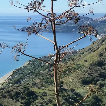 The Secret Garden * Forza dʼAgro