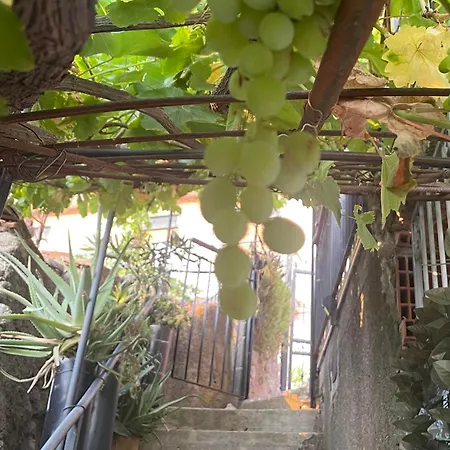 The Secret Garden * Forza dʼAgro